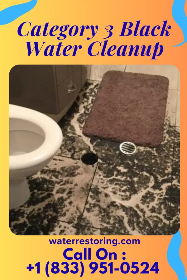 Category 3 Black Water Cleanup in Alvin, TX