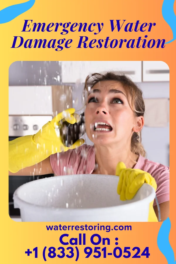 Emergency Water Damage Restoration in Alvin, TX