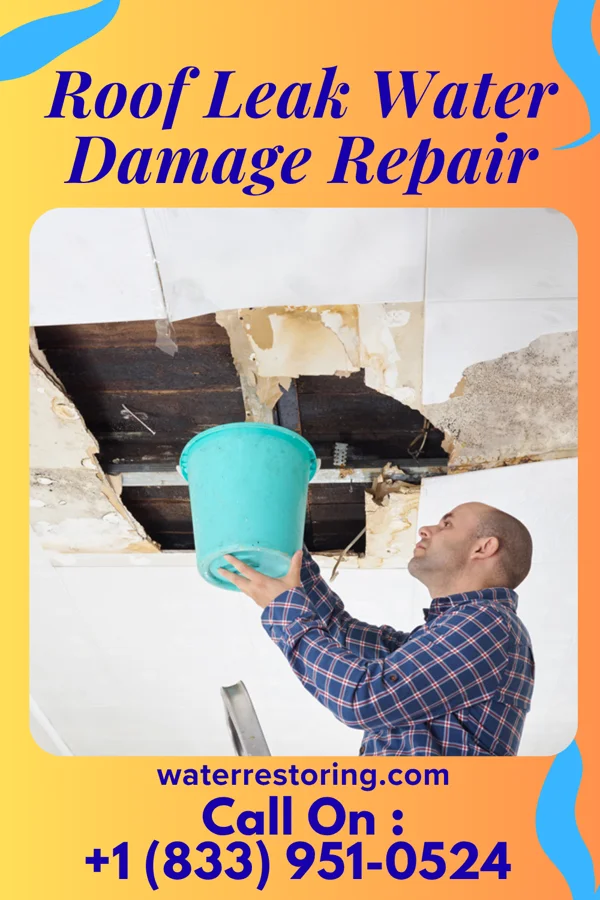 Roof Leak Water Damage Repair in Alvin, TX